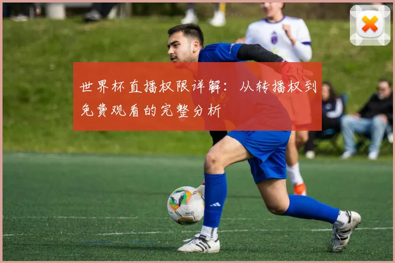 世界杯直播权限详解:从转播权到免费观看的完整分析