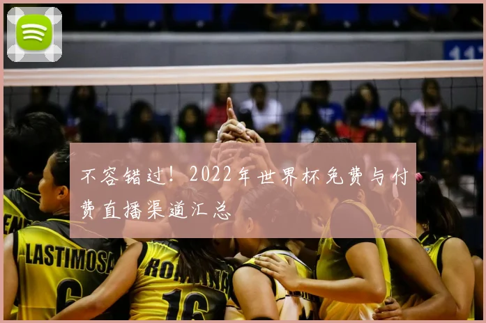 不容错过!2022年世界杯免费与付费直播渠道汇总
