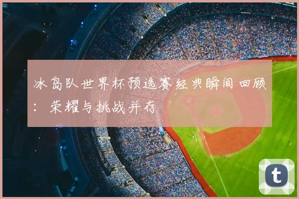 冰岛队世界杯预选赛经典瞬间回顾:荣耀与挑战并存
