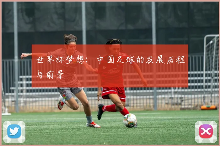 世界杯梦想:中国足球的发展历程与前景