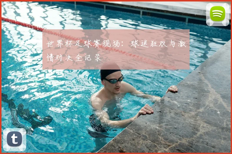 世界杯足球赛现场:球迷狂欢与激情对决全记录