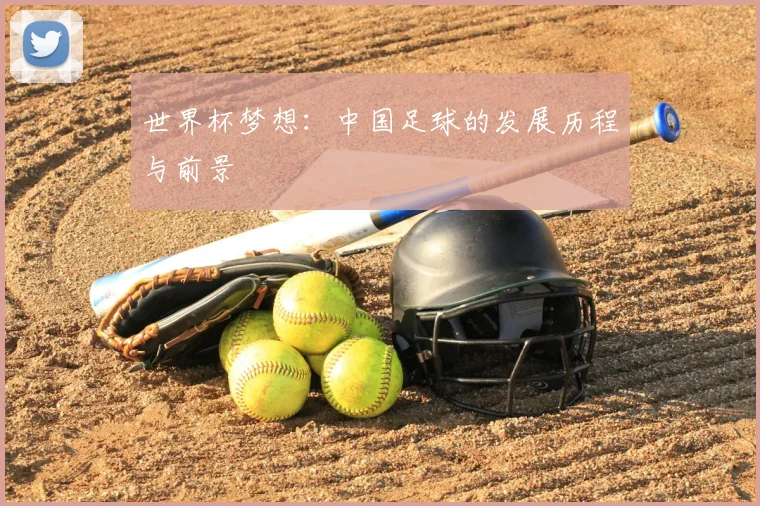 世界杯梦想:中国足球的发展历程与前景