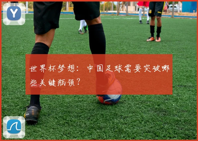 世界杯梦想:中国足球需要突破哪些关键瓶颈?