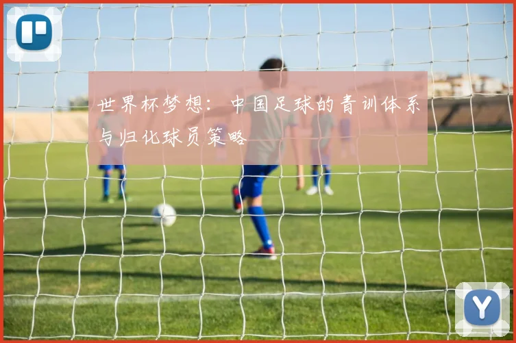 世界杯梦想:中国足球的青训体系与归化球员策略
