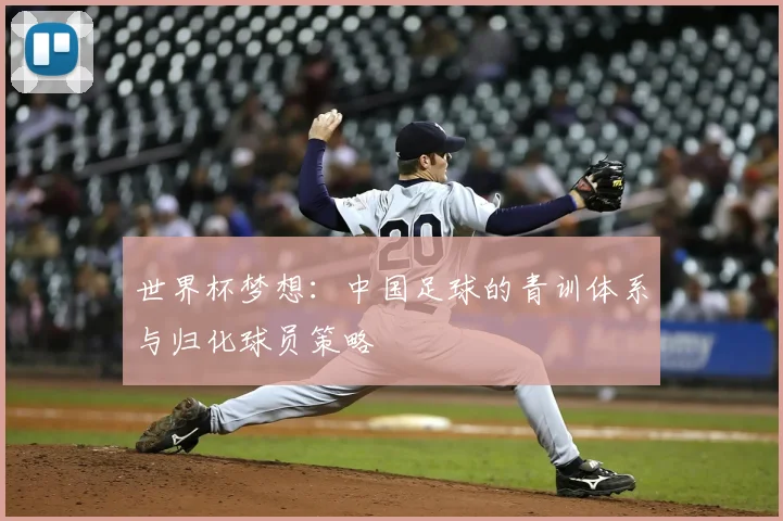 世界杯梦想:中国足球的青训体系与归化球员策略